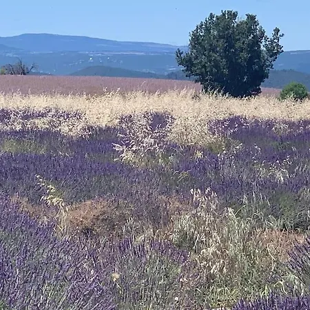 Holiday home Maison Des Hirondelles Petit Luberon